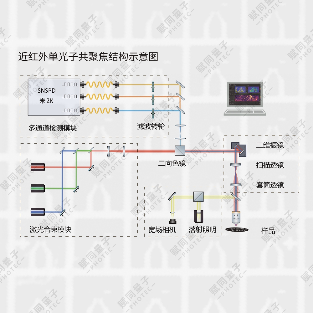 Qumi系列单光子共聚焦显微镜