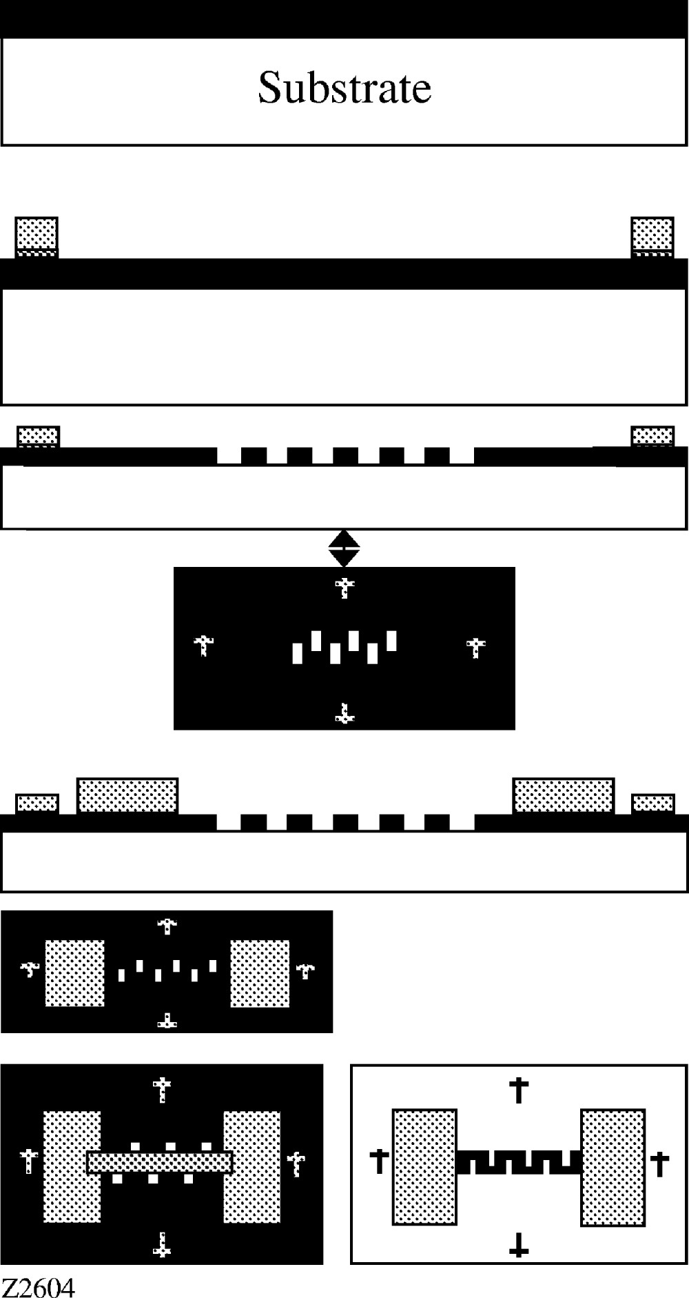 1782190820226780 1782190820226780